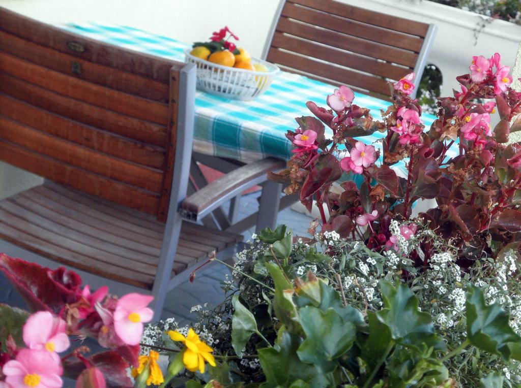 Apartmani Delfin Grebaštica 외부 사진